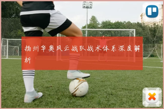 扬州华奥风云战队战术体系深度解析