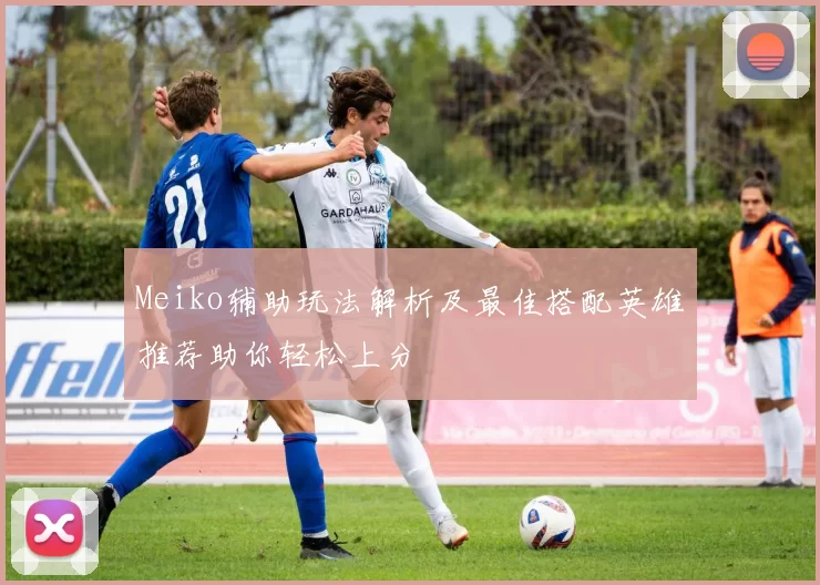 Meiko辅助玩法解析及最佳搭配英雄推荐助你轻松上分
