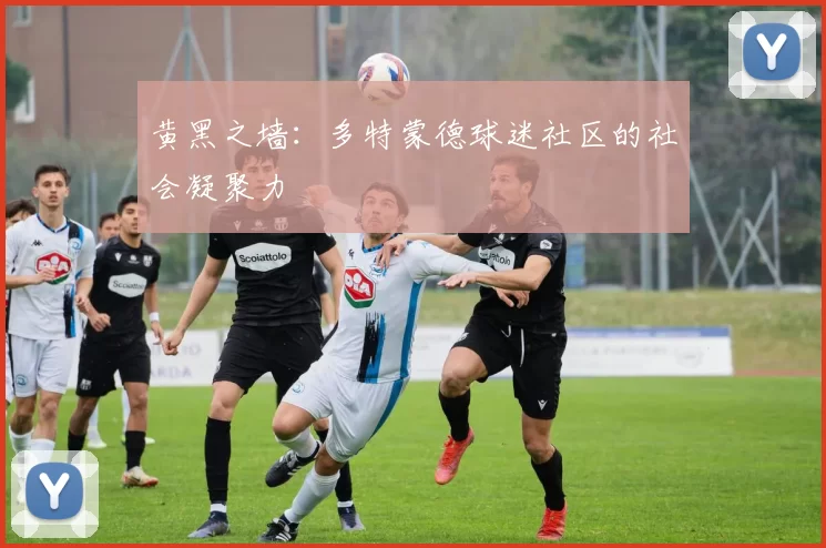黄黑之墙：多特蒙德球迷社区的社会凝聚力